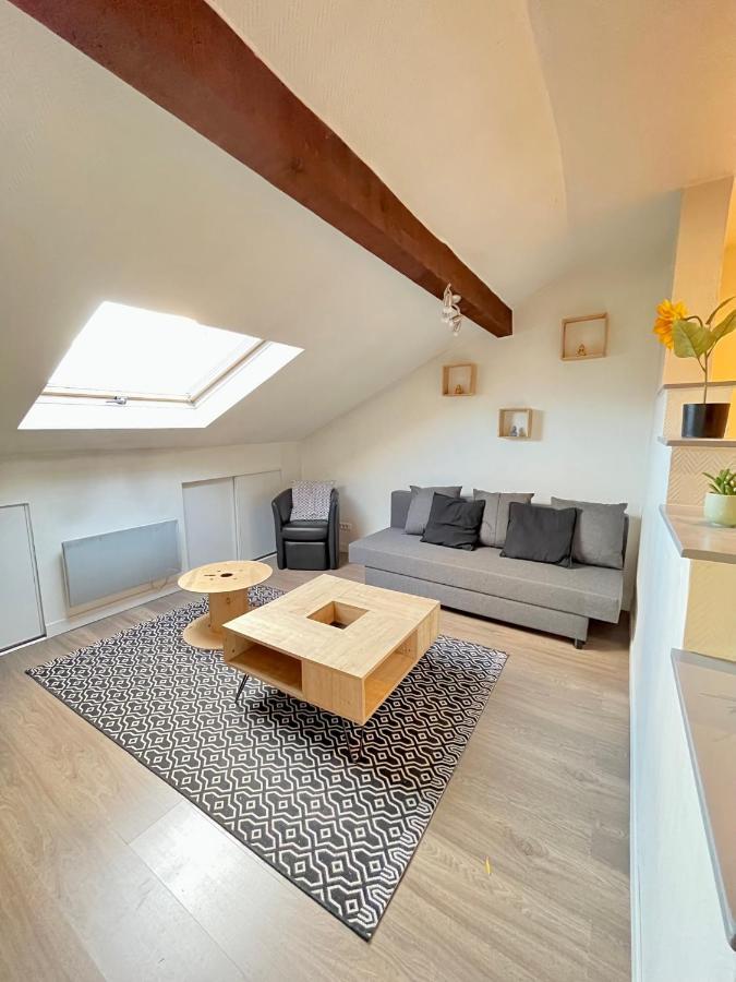 Pin'S - Magnifique Appartement ซาร์บูร์ก ภายนอก รูปภาพ