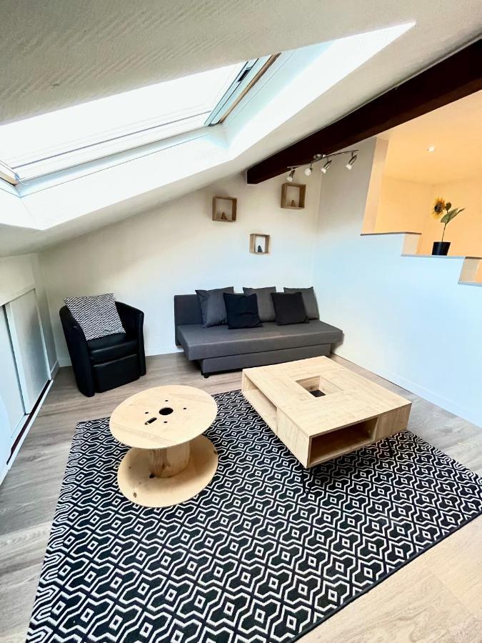 Pin'S - Magnifique Appartement ซาร์บูร์ก ภายนอก รูปภาพ